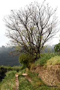 164202_509066362488425_1674694974_n