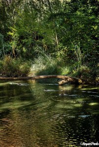 16994_432729956788733_987201300_n