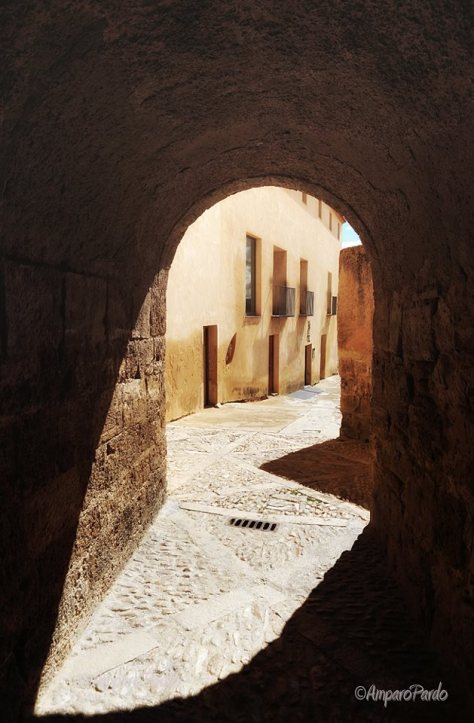 1830_491159157612479_1721055500_n