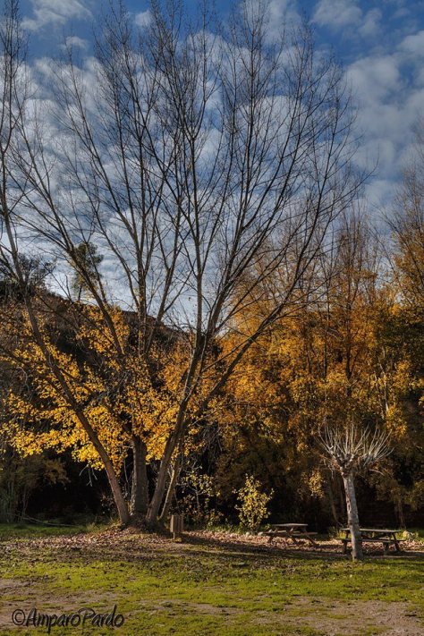 184427_451559221572473_658507036_n