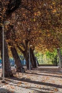 20401_440282479366814_426063488_n