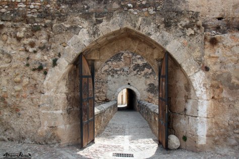 325000_214448848616846_100001551977991_572544_1003456893_o (1)