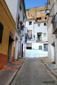 387722_248875808507483_1313703225_n