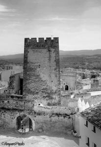 389464_427093190685743_705847591_n