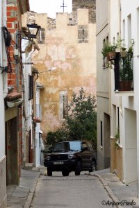 407770_288094854585578_1109372565_n