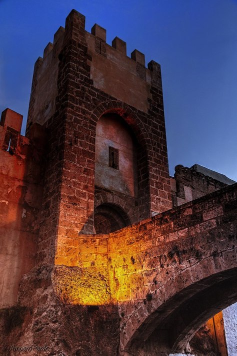 545401_433232190071843_2069496487_n