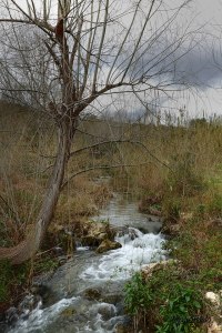 67064_491533560908372_1400250071_n