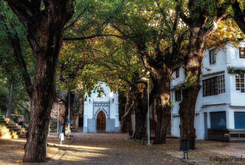 679818_440274659367596_459491807_o (1)