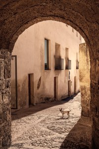 74090_454378411290554_2081645723_n