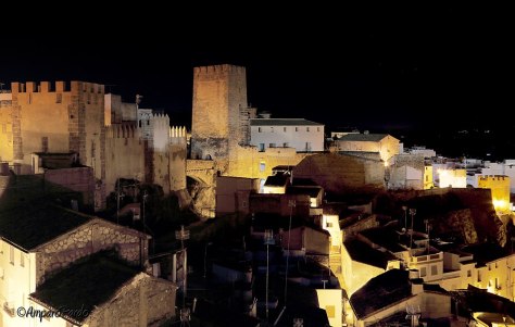 775827_474937519234643_1877892342_o