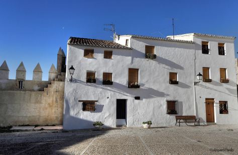 793883_339916492793506_1077510257_o