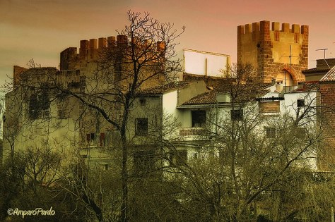 9081_428299953898400_35614975_nultima