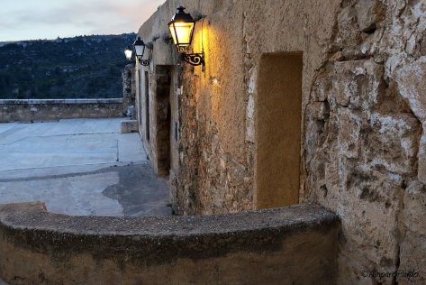 920901_524518544276540_874350008_o