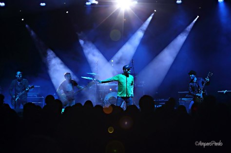 921239_506826309379097_2065800541_o