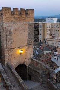 999650_546478225413905_1709213275_n