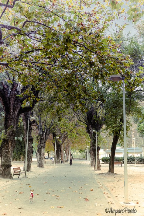 DSCF0157firmadareduc