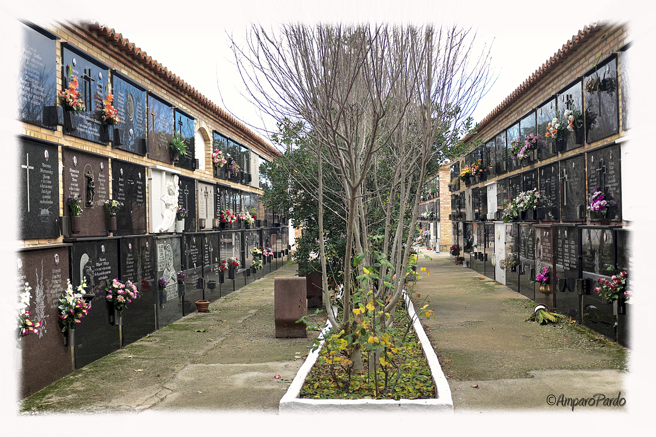 DSCF1083 hdrmarcofirmado