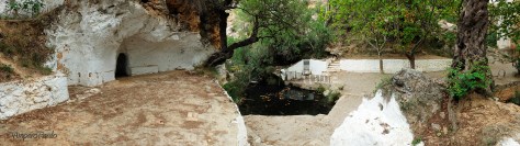 DSCF2677firmadareduc