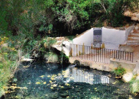 DSCF2679 HDRfirmadoreduc