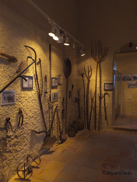 DSCF3342firmadareduc