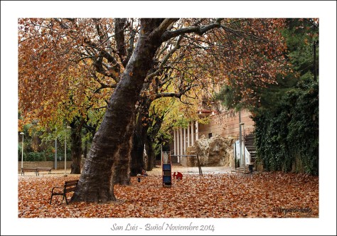 IMG_3915 copyREDMarcoTexto