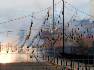 LZ0A0543recortBUENAFOTOreduc