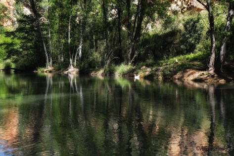 LZ0A4815firmadareduc