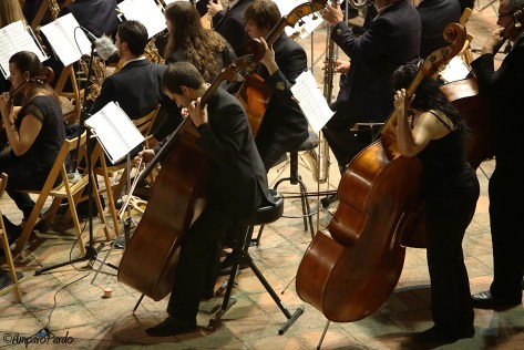 LZ0A9981firmadareduc