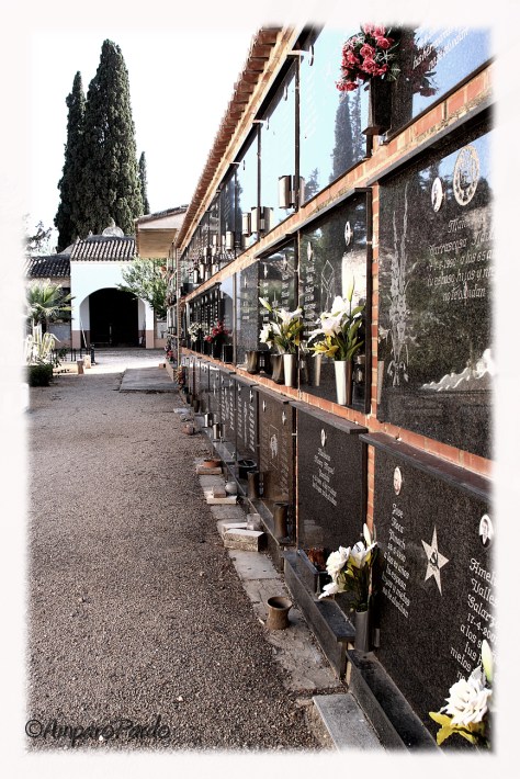 _MG_5265editadafirmadareduc