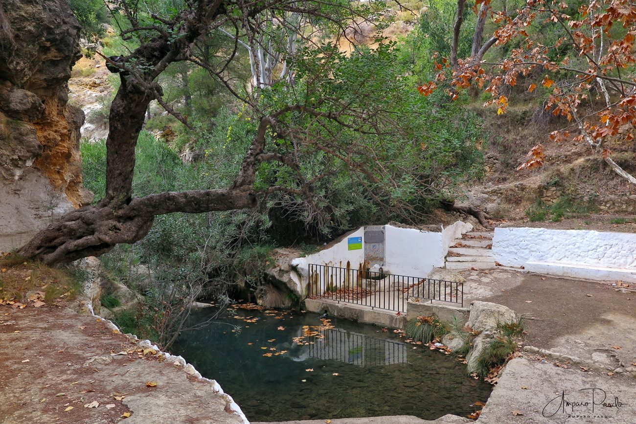 29749341_1723566334371749_132287477979436074_o