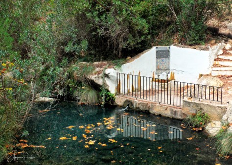 DSCF2679 1 nuevafirma RED