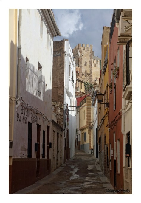 LZ0A6218 copyfirmadared