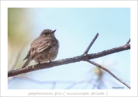 IMG_9829 REDFIRMADA copyTEX