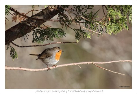 IMG_9833 firmadaREDTEX