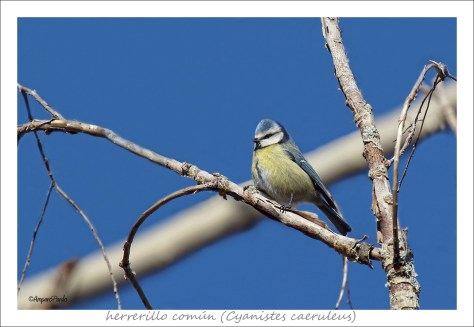 IMG_9869 firmadaREDtex