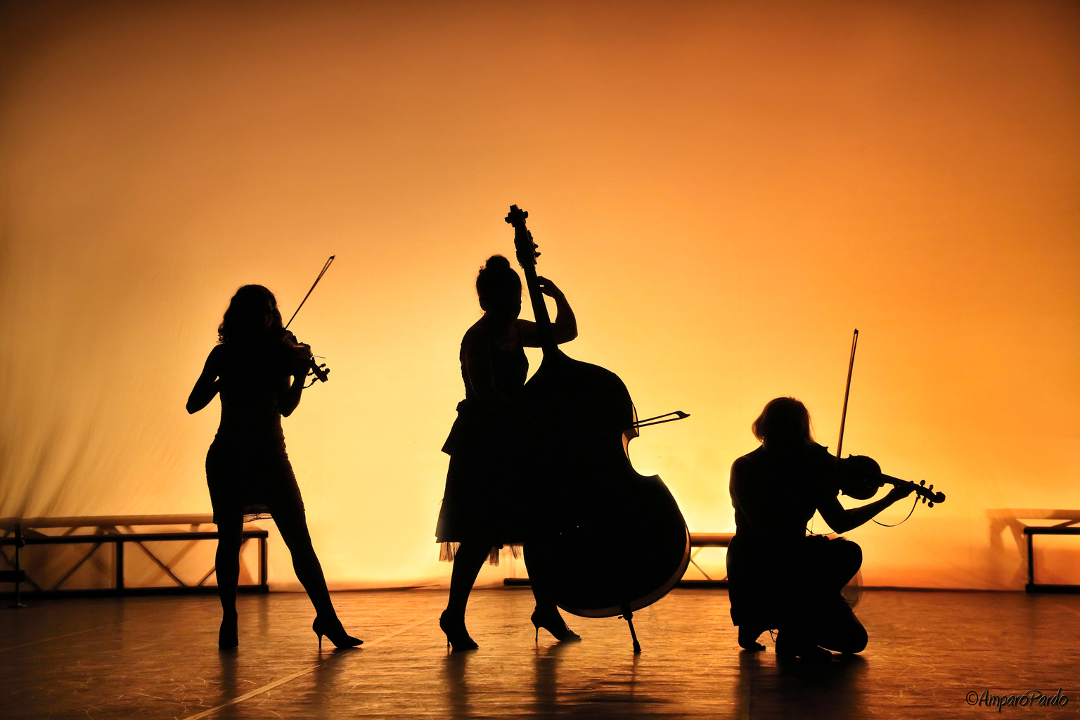 LZ0A0048firmada copy